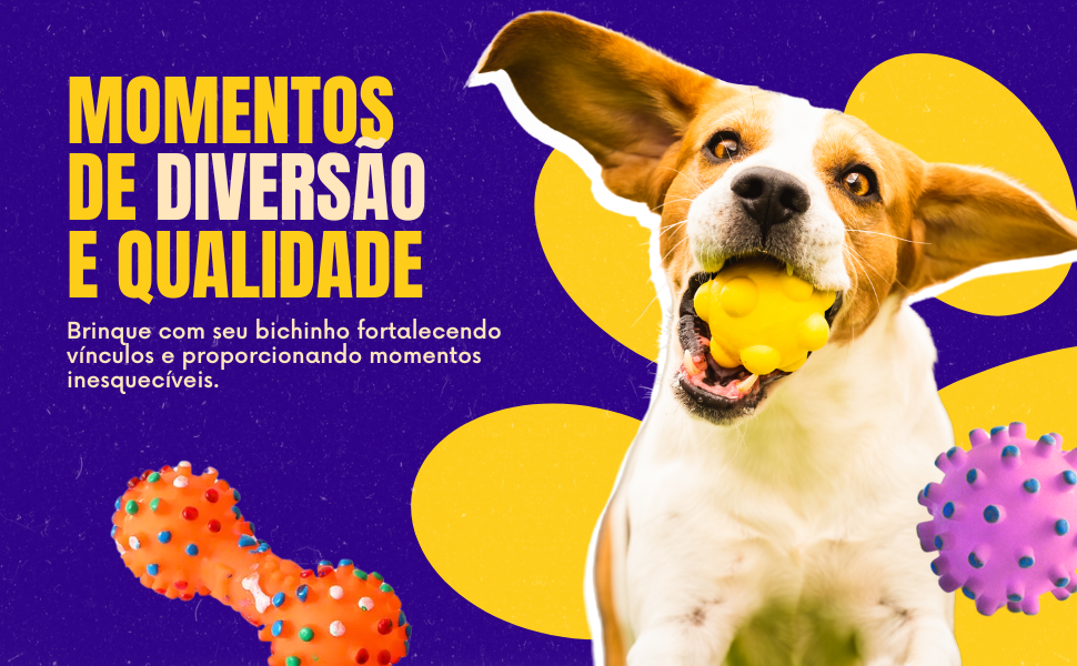 Kit 5 brinquedos para Pet