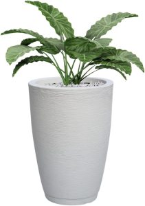 Decoração