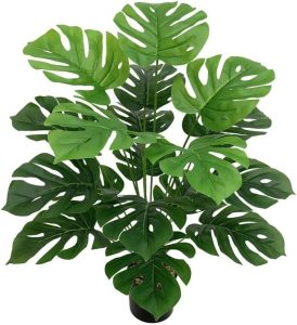 Decoração