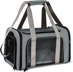 bolsa